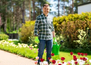 Home Decor and Garden