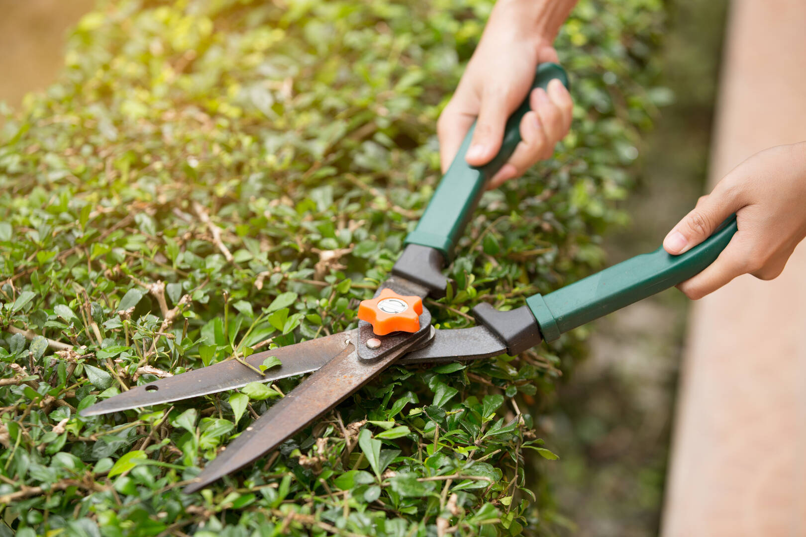 Landscapers in Hillsborough NJ