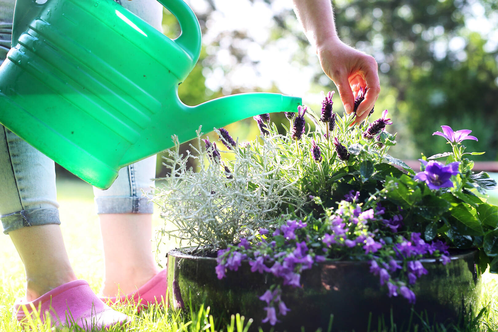 Pest Control Newport OR – pest control services